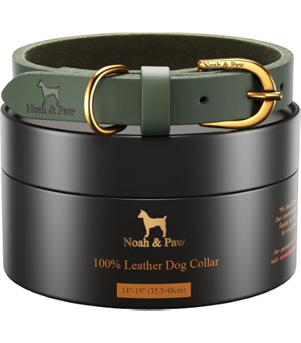 Amazon.com : NOAH & PAW Dog Collar for Medium Dogs, Genuine